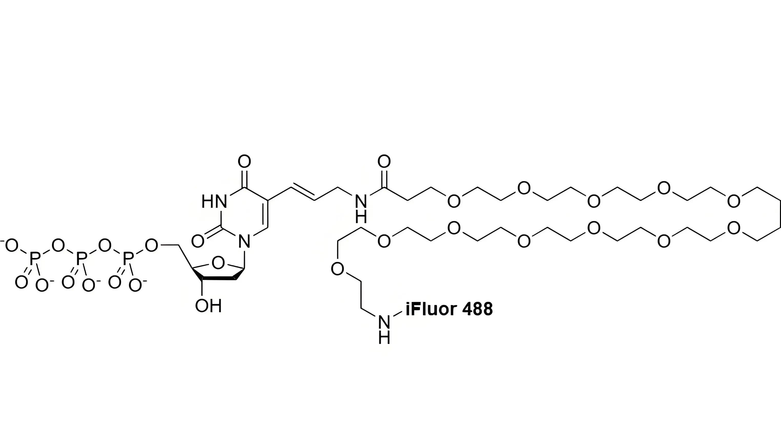iFluor488-PEG12-dUTP，iFluor488-十二聚乙二醇-脫氧尿苷三磷酸的光譜特性解析及FISH濾光片選配指南