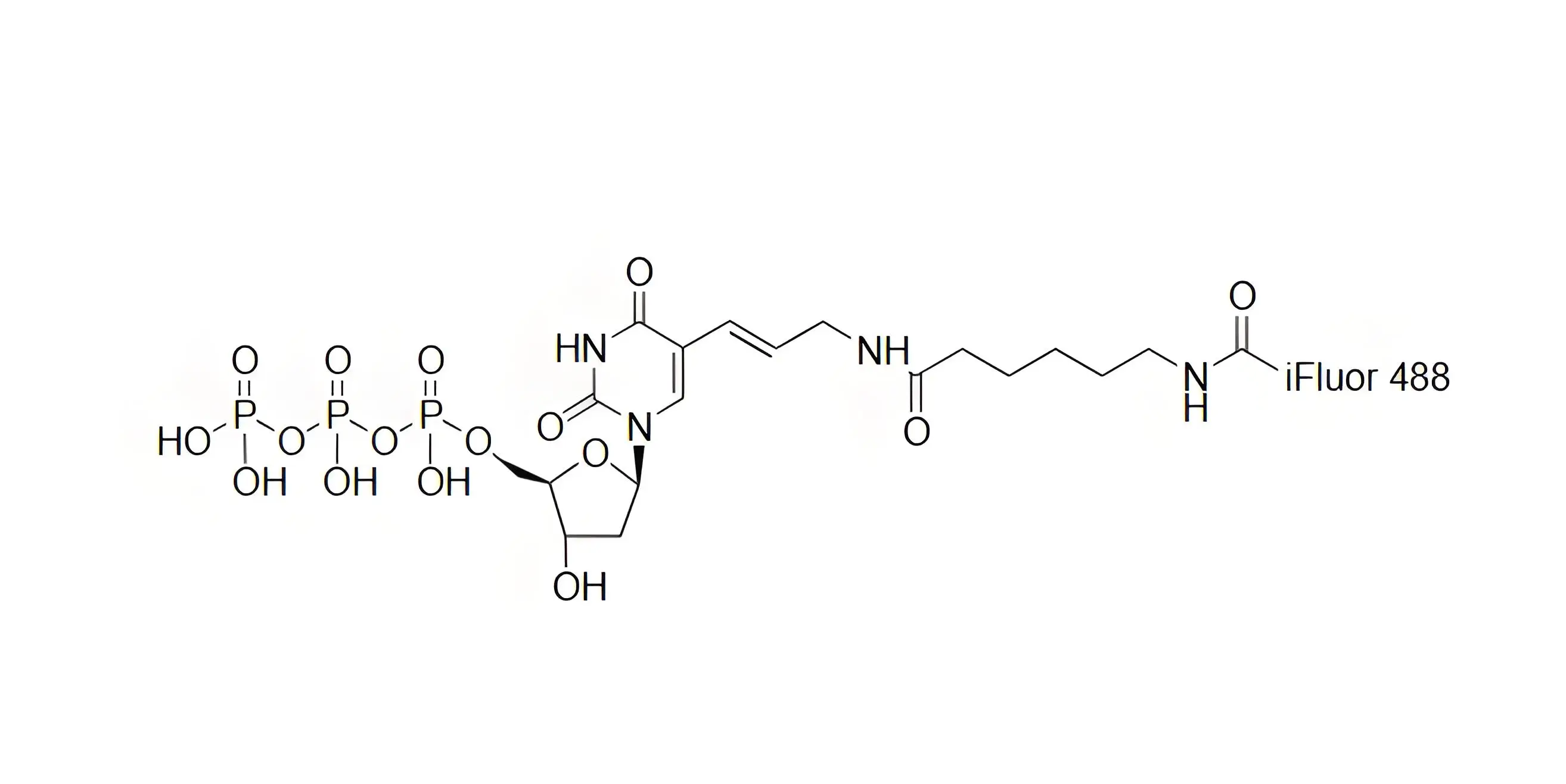 iFluor488-dUTP，iFluor488-脫氧尿苷三磷酸在PCR和逆轉(zhuǎn)錄中的表現(xiàn)