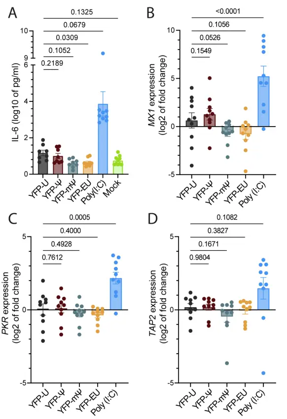 5-乙炔基尿苷：一種具有生物正交標(biāo)記潛力的mRNA治療用核苷類(lèi)似物