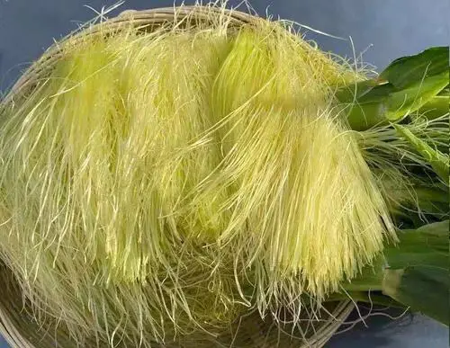 痛風(fēng)食療指南！8種低嘌呤食物建議常吃，溫和緩解不適少復(fù)發(fā)